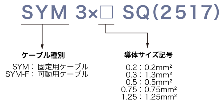 SYMの形式